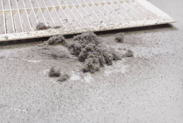 Best HVAC Duct Inspection Services  in Enfield, NC
